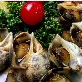 バビロン貝の画像