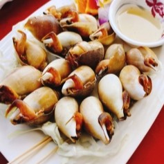 チョウセンサザエの画像